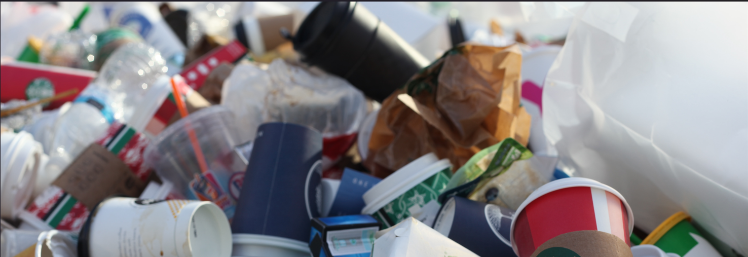 The Pros and Cons of Polylactic Acid (PLA) – Sincdoo