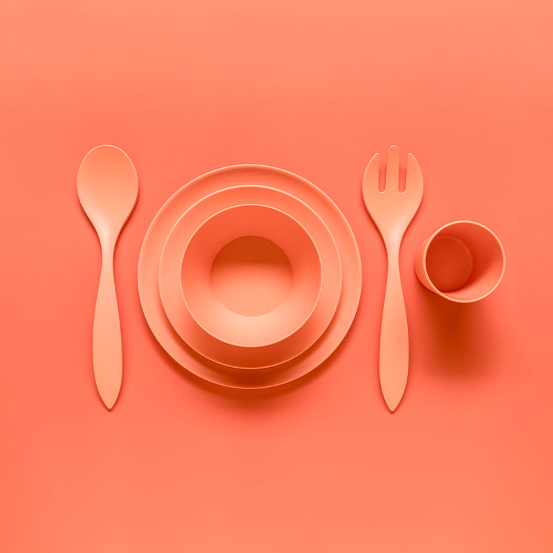 Biodegradable PLA Products for Food Service