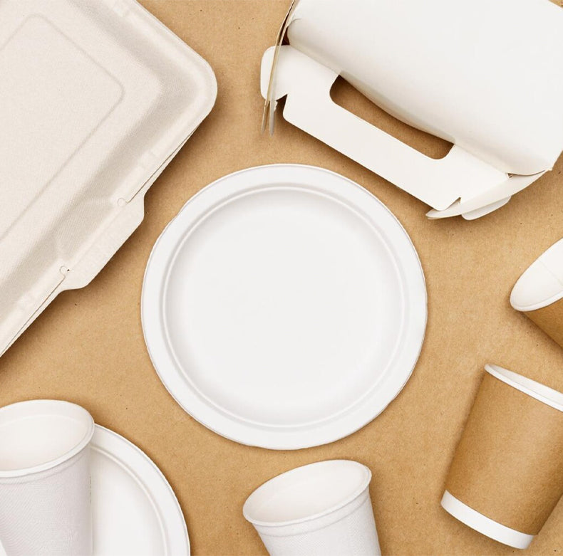 Degradable PLA Food Serviceware Disposable Degradable- Sincdoo