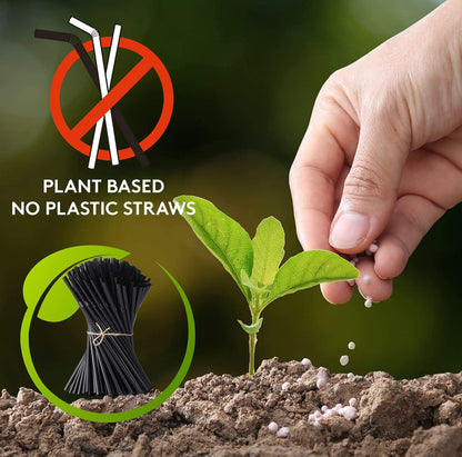 Compostable Disposable PLA Drink Straw (Sample)